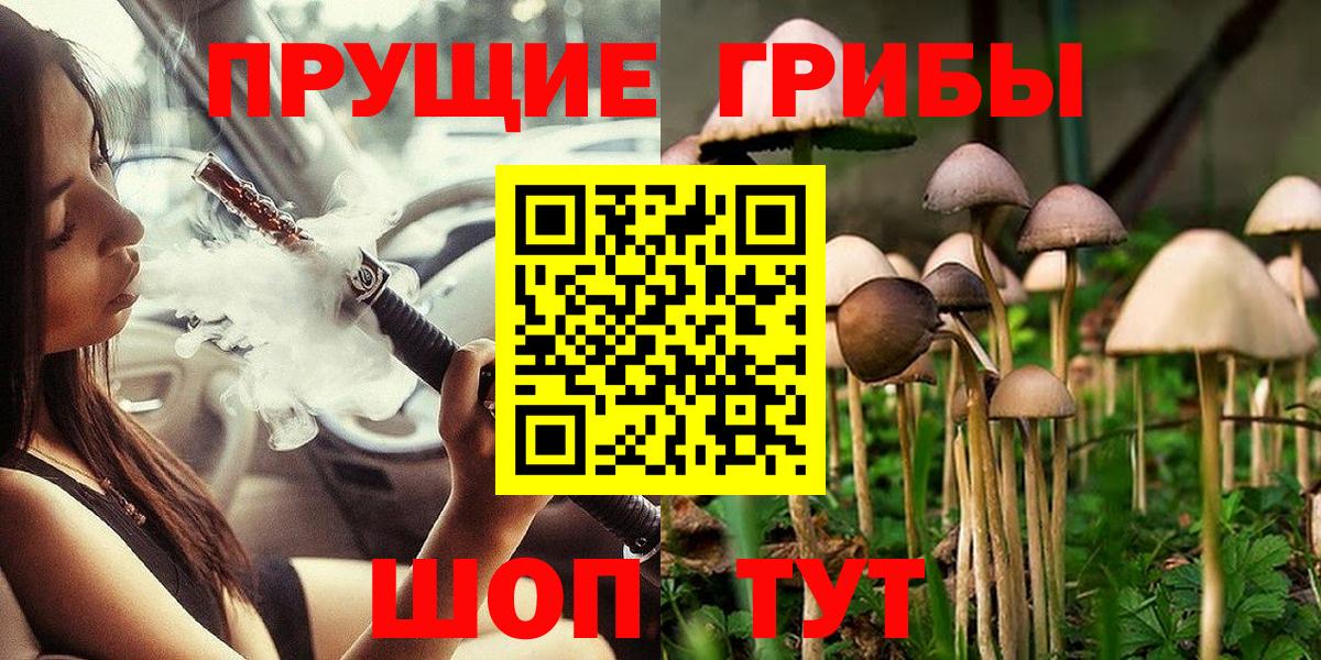 Галлюциногенные грибы мицелий Сочи