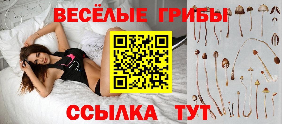 Галлюциногенные грибы Psilocybine cubensis  Галлюциногенные грибы ЛСД  Вход с VPN  купить наркотики сайты  Сочи 